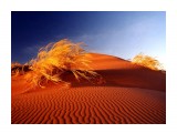 Название: 0_a57f3_58aac09c_orig
Фотоальбом: Разное
Категория: Природа

Время съемки/редактирования: 2007:08:16 21:37:18



Просмотров: 3076
Комментариев: 0