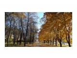 осень

Просмотров: 582
Комментариев: 