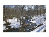***

Просмотров: 2650
Комментариев: 0