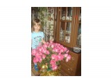 DSC04861
Миллион, миллион алых роз....

Просмотров: 3590
Комментариев: 0