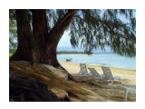 Название: Пляж
Фотоальбом: Saipan.Hotel "Pacific Islands Club"
Категория: Туризм, путешествия

Время съемки/редактирования: 2010:06:26 14:55:57
Фотокамера: SONY - HDR-CX550E
Диафрагма: f/3.4
Выдержка: 1/150
Фокусное расстояние: 48/10



Просмотров: 1297
Комментариев: 0