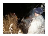 Вот и ночь
Фотограф: фотохроник

Просмотров: 463
Комментариев: 1