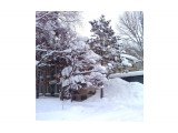 В снегу..
Фотограф: vikirin

Просмотров: 2752
Комментариев: 0
