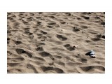 Песок накалился.. весь берег как печка...
Фотограф: vikirin

Просмотров: 2047
Комментариев: 0