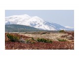 ***

Просмотров: 2344
Комментариев: 2