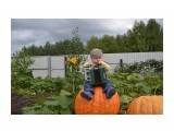 нм

Просмотров: 3254
Комментариев: 0