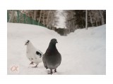 ***
Фотограф: Сергей Буркацкий

Просмотров: 1537
Комментариев: 0