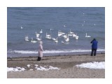 лебеди

Просмотров: 4799
Комментариев: 0
