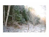 IMGP2655 Зимный лес! Первый снег! 30.10.jpg сах
Фотограф: viktorb

Просмотров: 1247
Комментариев: 0