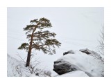сосна
оз,Тургояк

Просмотров: 328
Комментариев: 0