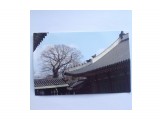 Название: 2014  - 12 сентября, Корея
Фотоальбом: Посткроссинг:)
Категория: Хобби
Описание: Открытка от Джини из Кореи с пожеланием счастливого посткроссинга

Просмотров: 5010
Комментариев: 0