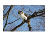 коты прилетели весну принесли

Просмотров: 1682
Комментариев: 0