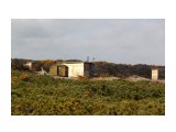 Опустевший стан 
Фотограф: vikirin

Просмотров: 1873
Комментариев: 0