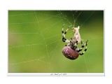 _IGP2694_1

Просмотров: 1051
Комментариев: 0