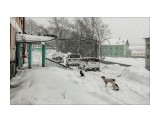 Название: ***
Фотоальбом: г. Долинск
Категория: Животные
Фотограф: altazet

Просмотров: 2763
Комментариев: 0