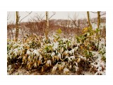 Майский снег. Бамбучки.
Фотограф: Фотохроник

Просмотров: 1851
Комментариев: 0