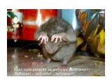 555
ссс

Просмотров: 1928
Комментариев: 