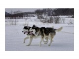 _IGP4741

Просмотров: 722
Комментариев: 