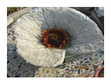 Фото 130
Памятник сахалинскому лопуху  и поилка для птиц

Просмотров: 545
Комментариев: 0