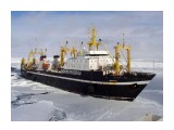 феникс

Просмотров: 4134
Комментариев: 0