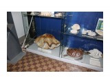 В Музее
Фотограф: vikirin

Просмотров: 2631
Комментариев: 0