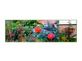 MyCollages

Просмотров: 449
Комментариев: 0