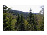 040-1

Просмотров: 388
Комментариев: 0