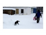 Че то хозяину несет...
Фотограф: vikirin

Просмотров: 3852
Комментариев: 0