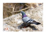 ***
Фотограф: Сергей Буркацкий

Просмотров: 1293
Комментариев: 0