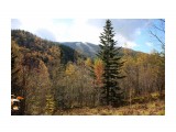 090-М

Просмотров: 540
Комментариев: 0