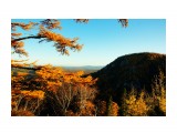 Название: DSC01351_resize
Фотоальбом: Лангери осенью 2011 год
Категория: Природа
Фотограф: В.Дейкин

Время съемки/редактирования: 2011:10:16 16:23:53
Фотокамера: SONY - DSLR-A580
Диафрагма: f/9.0
Выдержка: 1/80
Фокусное расстояние: 180/10
Светочуствительность: 100


Просмотров: 3560
Комментариев: 0
