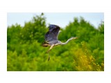 ***

Просмотров: 2464
Комментариев: 1
