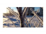 Однажды морозным утром
Фотограф: vikirin

Просмотров: 1437
Комментариев: 0