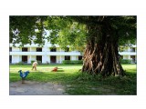 Название: Священное дерево чаморро
Фотоальбом: Saipan.Hotel "Pacific Islands Club"
Категория: Туризм, путешествия

Просмотров: 912
Комментариев: 0