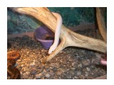 Название: ползающие
Фотоальбом: наш Zoo
Категория: Животные

Время съемки/редактирования: 2009:01:18 15:55:54
Фотокамера: CASIO COMPUTER CO.,LTD. - EX-Z1000   
Диафрагма: f/2.8
Выдержка: 1/60
Фокусное расстояние: 790/100



Просмотров: 713
Комментариев: 1