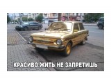 Название: Красавелла! :)))
Фотоальбом: Хахатули
Категория: Юмор

Просмотров: 861
Комментариев: 0