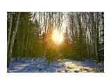 зимний вечер

Просмотров: 2958
Комментариев: 0