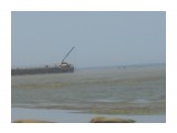 DSC04998
Погрузка ламинарии.

Просмотров: 4151
Комментариев: 0