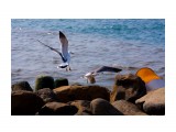 Название: Сивуха_18.04-23
Фотоальбом: Природа
Категория: Природа
Фотограф: Franth

Время съемки/редактирования: 2010:04:20 00:44:52
Фотокамера: Canon - Canon EOS 40D
Диафрагма: f/4.0
Выдержка: 1/2000
Фокусное расстояние: 75/1
Светочуствительность: 100


Просмотров: 3226
Комментариев: 0
