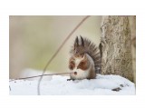 Ой :))
Фотограф: VictorV

Просмотров: 593
Комментариев: 2