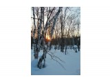 DSCN0220

Просмотров: 2034
Комментариев: 0