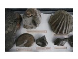 ПМ10

Просмотров: 2210
Комментариев: 0