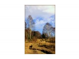 Название: На сопке
Фотоальбом: Осень
Категория: Пейзаж

Просмотров: 1825
Комментариев: 0