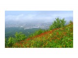 033-к

Просмотров: 653
Комментариев: 0