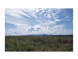 016-л

Просмотров: 710
Комментариев: 0