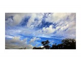 001-к

Просмотров: 809
Комментариев: 0