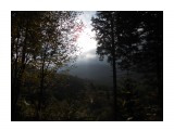 Раннее утро в лесу
Фотограф: ДаНуНа

Просмотров: 1439
Комментариев: 0