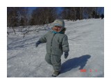 Сбегаем с горки!!!

Просмотров: 1286
Комментариев: 0