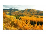 Название: DSC01188_resize
Фотоальбом: Лангери осенью 2011 год
Категория: Пейзаж
Фотограф: В.Дейкин

Время съемки/редактирования: 2011:10:16 16:23:33
Фотокамера: SONY - DSLR-A580
Диафрагма: f/6.3
Выдержка: 1/50
Фокусное расстояние: 180/10
Светочуствительность: 100


Просмотров: 3035
Комментариев: 0