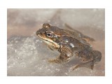 ***
Фотограф: Сергей Буркацкий

Просмотров: 1374
Комментариев: 0